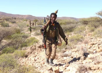 Maydadka ajaaniib horleh oo laga helay buuraha Puntland