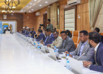 DF oo sheegtay in ay kaalin ka qaadaneyso howlgallada ay Ciidamada Puntland ka wadaan gobolka Bari